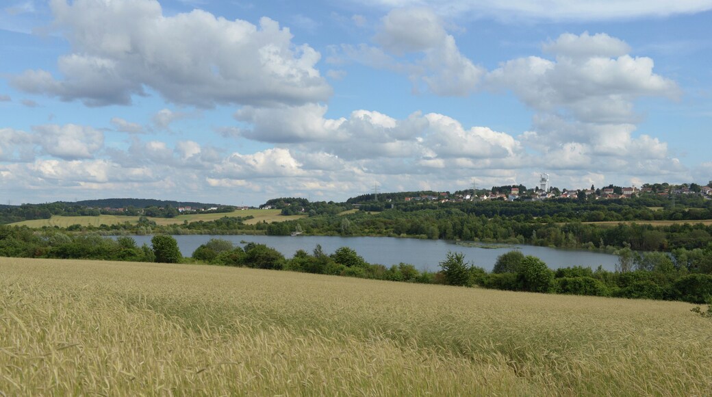 Schlammweiher der ehemaligen Grube Göttelborn. Heute Teil der Landschaft der Industriekultur Nord (LIK.Nord), Naturschutzgroßprojekt. Der Schlammweiher Hahnwies und sein Umfeld befindet sich auf dem Gebiet der Gemeinden Illingen und Merchweiler, Saarland/ Deutschland (2016).