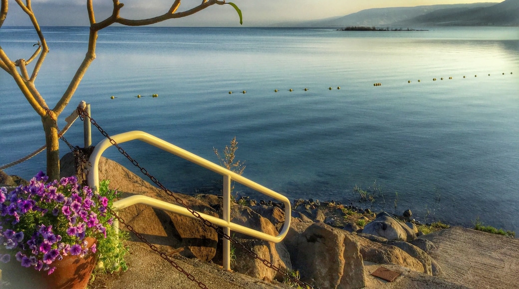 If you get a chance to explore down in the Canyons around Twin Falls, Idaho you will quickly learn the Sunsets are one of a kind amazing!