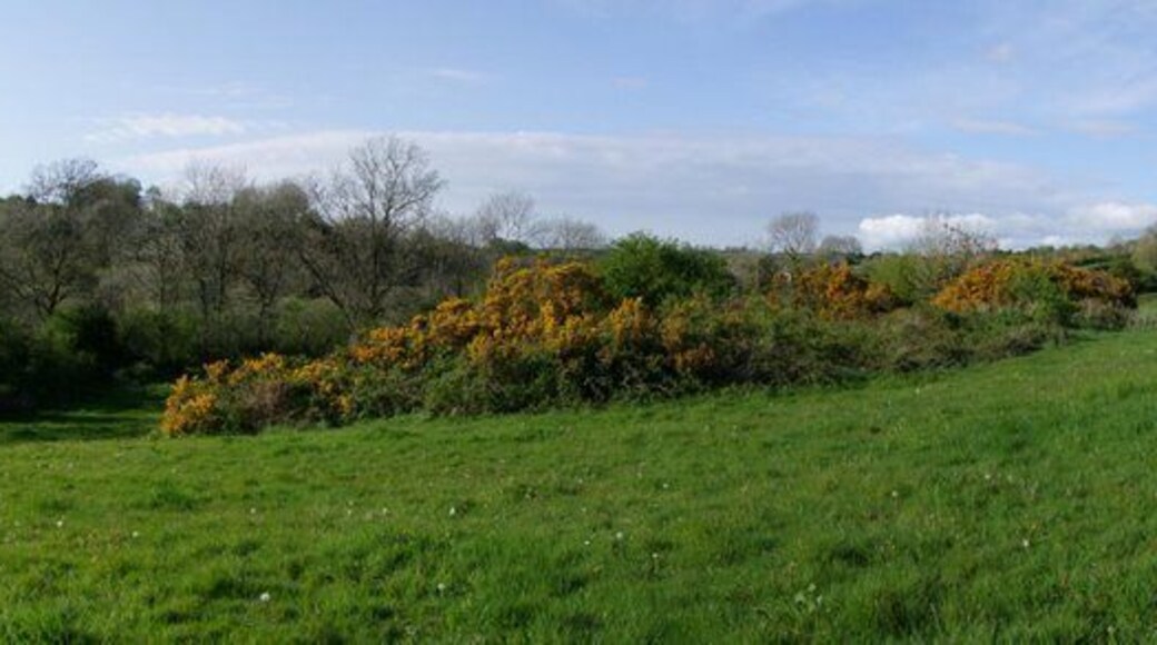 Remains of New Hayes Colliery To the right of the picture you can see fenced off area of collapse repair. For more information go to www.welshcoalmines.co.uk/Carm/thomas-chapel.htm