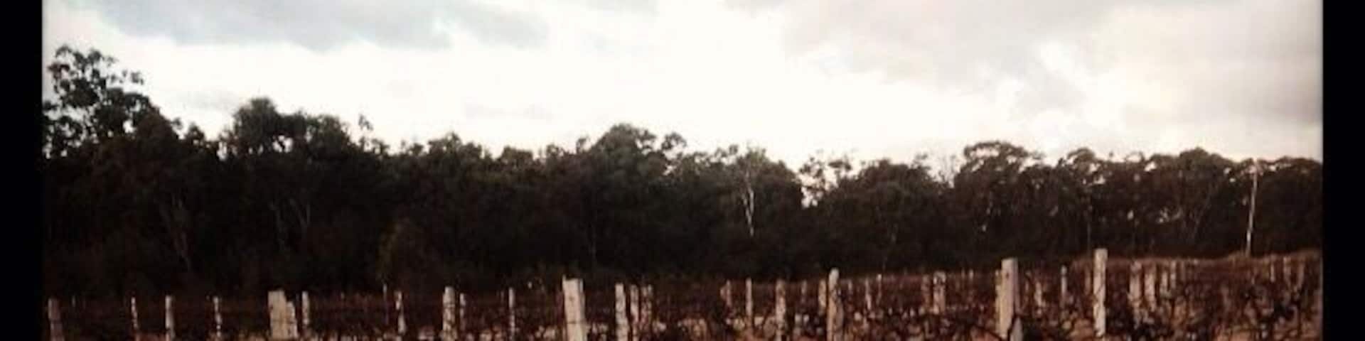 Fabulous winery. Generous wine tastings and a very informative owner & winemaker.