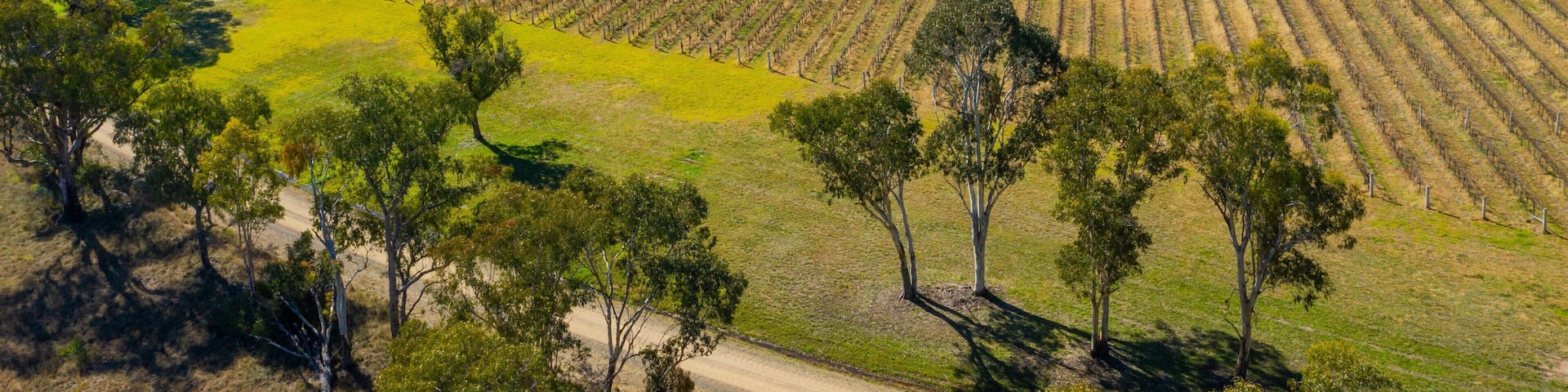 Ballandean featuring farmland and landscape views