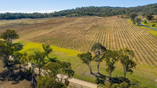 Ballandean featuring farmland and landscape views