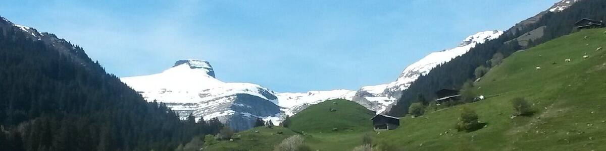 Summer and Winter in one picture