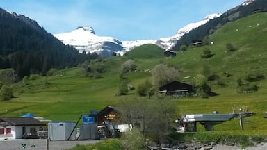 A mountainous landscape with green fields, a small building, and a snow-capped peak in the background.