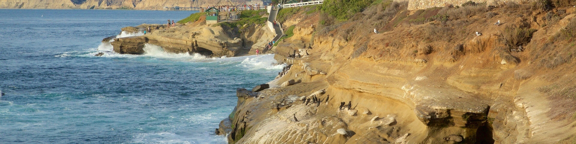 La Jolla featuring a coastal town, rocky coastline and general coastal views