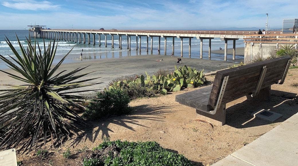 By the Pier at La Jolla.At the background is The Ellen Browning Scripps Memorial Pier, normally closed to the public, is used by scientists, students, and aquarium staff for a variety of research projects. It also serves as a platform to collect local marine data and deploy small boats and oceanographic instruments.