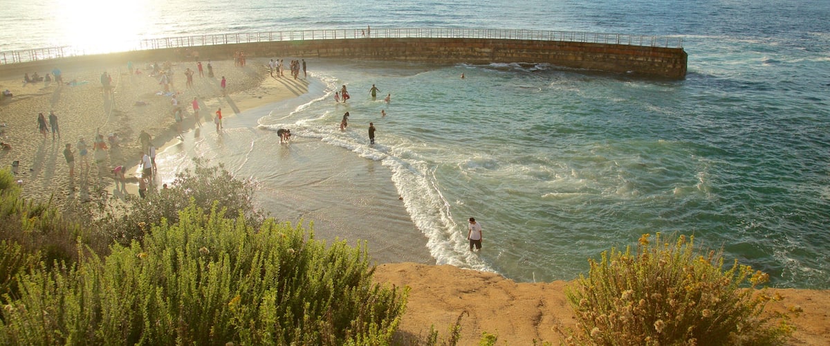A beach with a curved seawall, people swimming and walking along the shore, and greenery in the foreground.
