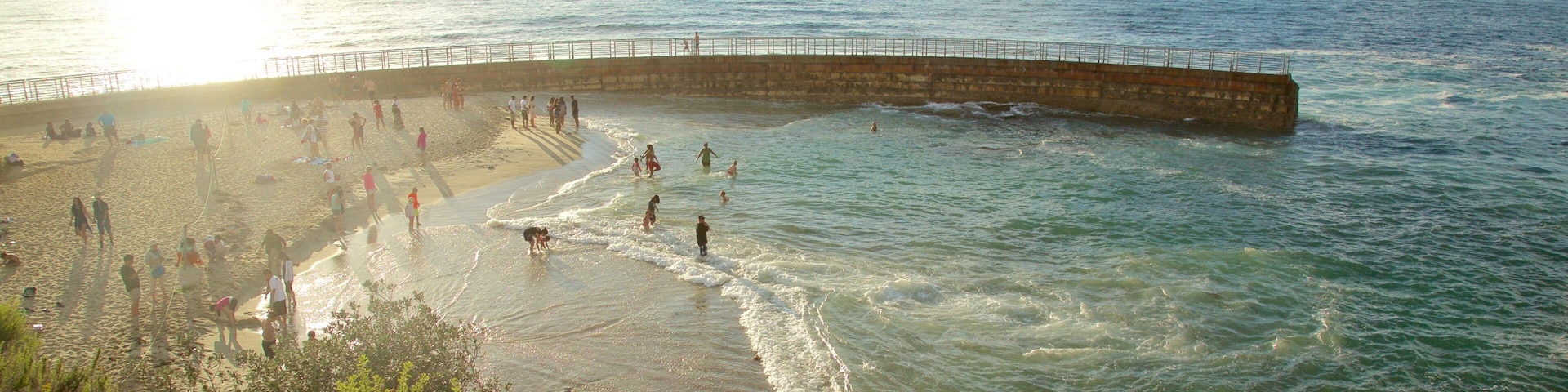 A beach with a curved seawall, people swimming and walking along the shore, and greenery in the foreground.