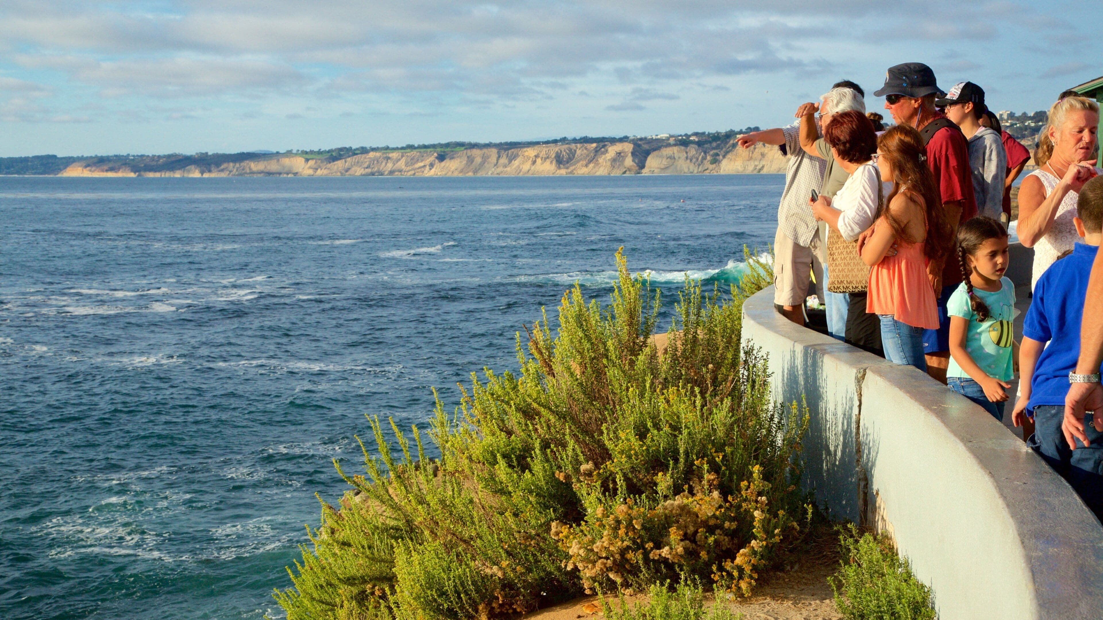 Visit La Jolla: 2026 Travel Guide for La Jolla, California | Expedia