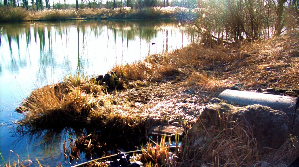 Eintritt der Panke in den Teufelspfuhl nach Durchquerung der Stettiner Bahn. Auf der Westseite des Teufelspfuhlss findet sich ein Eintrittsrohr mit einem Durchmesser von etwas über einem Meter, diese Stelle entspricht der Lage auf der nordwestlichen Seite der Stettiner Bahn von zwei Zulaufgräben und des Grabens entlang des Bahndamms, der hier die Panke repräsentiert.