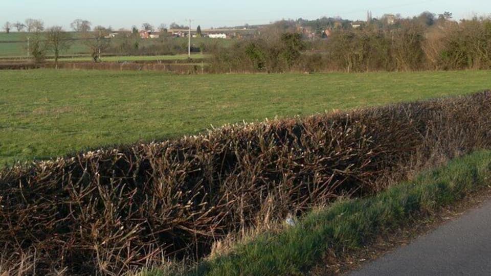 View towards Sibson, Leicestershire