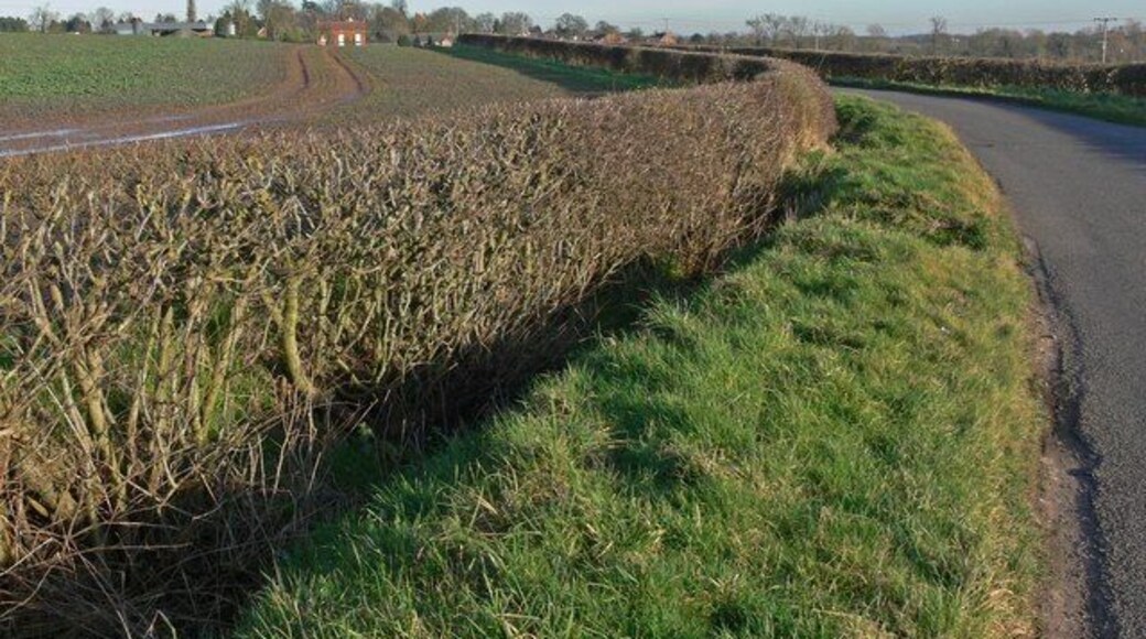 Sheepy Road near Sibson, Leicestershire