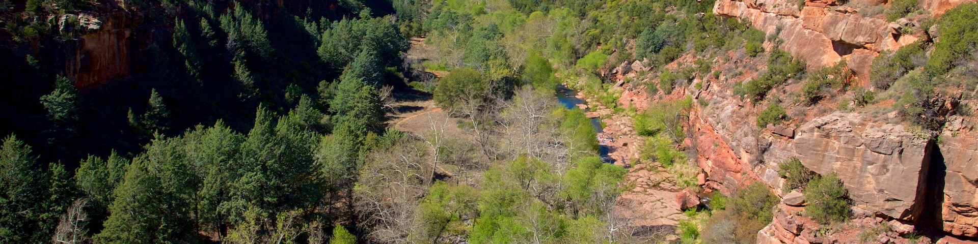 Oak Creek Canyon featuring a gorge or canyon, tranquil scenes and a river or creek