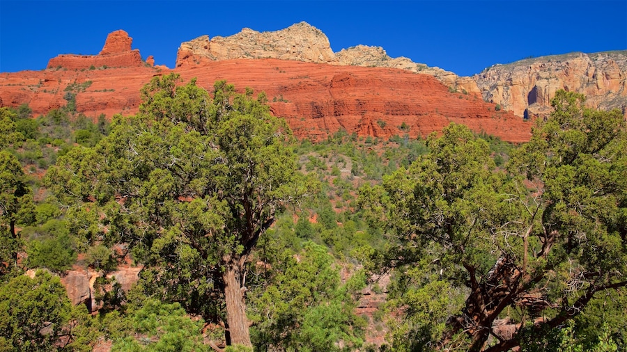 Oak Creek Canyon which includes tranquil scenes and a gorge or canyon