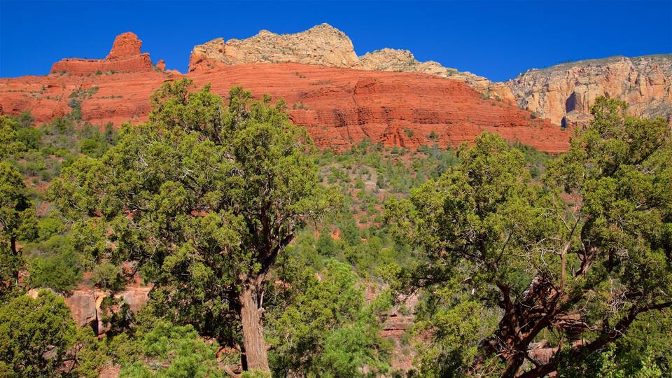 A mountainous landscape with red rock formations and green trees.
