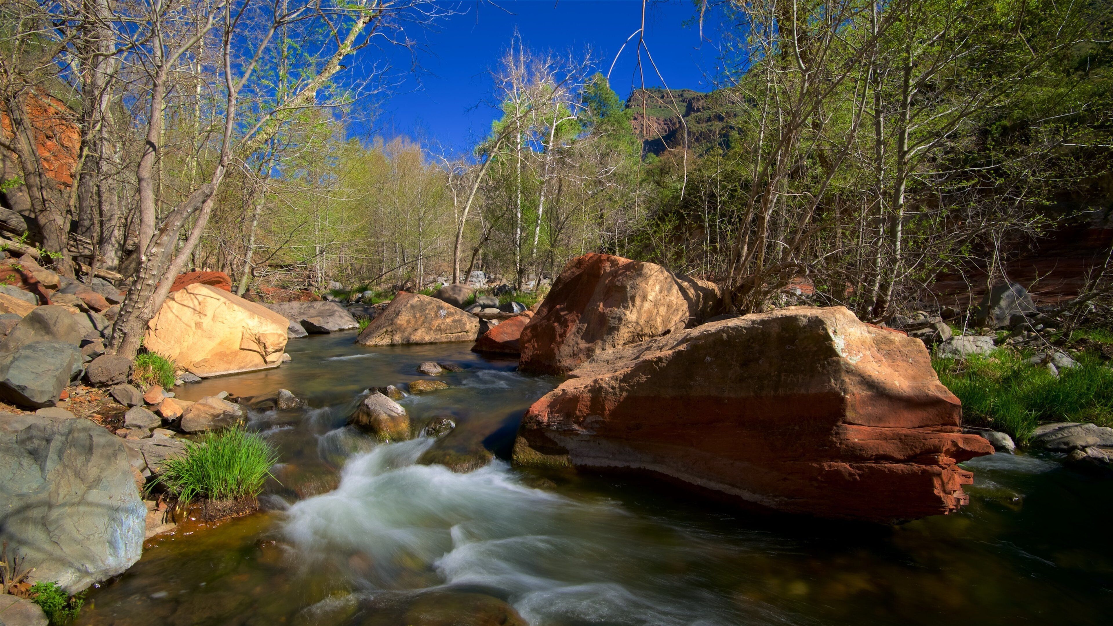 Oak Creek Canyon which includes a river or creek and forests