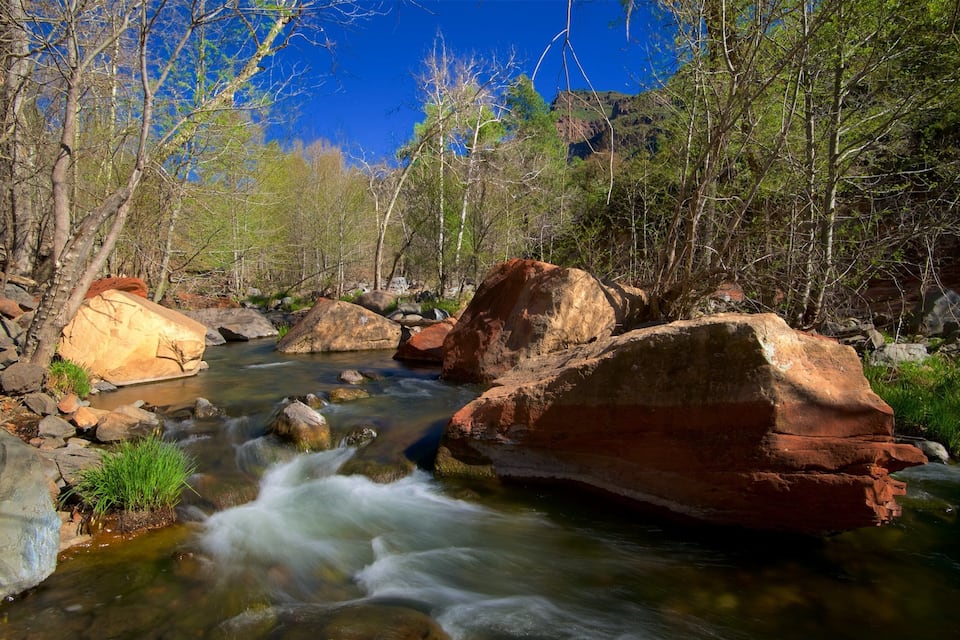 A clear stream flowing through a rocky landscape with large boulders and trees.