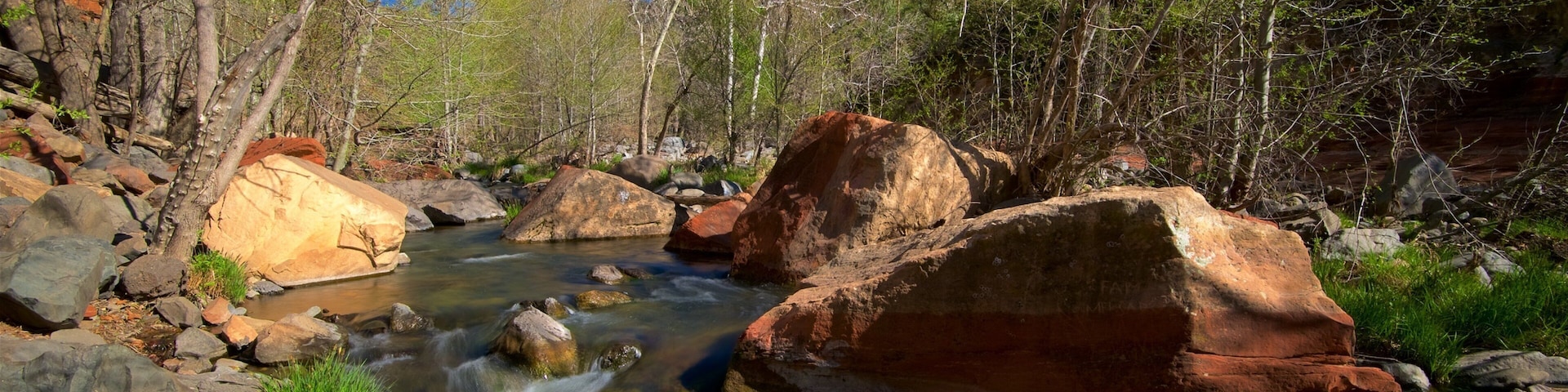 Oak Creek Canyon mostrando un río o arroyo y imágenes de bosques