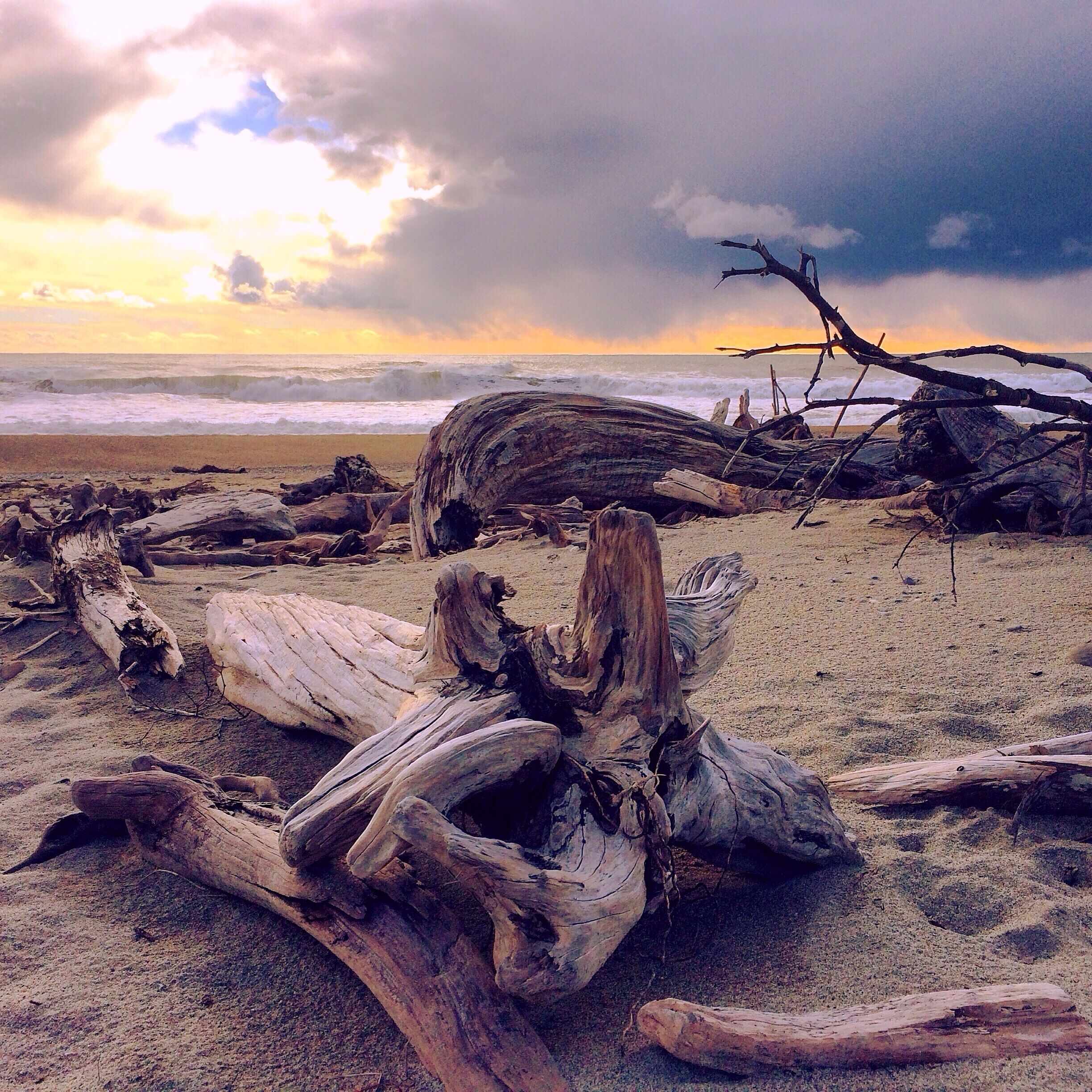 Driftwood on a beach with waves in the background.