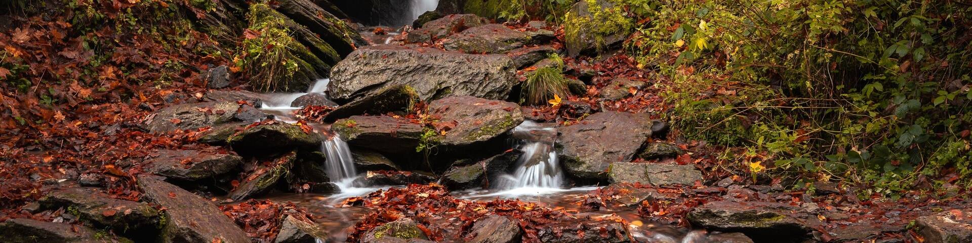 A waterfall cascading over rocks in a forested area with autumn foliage.
