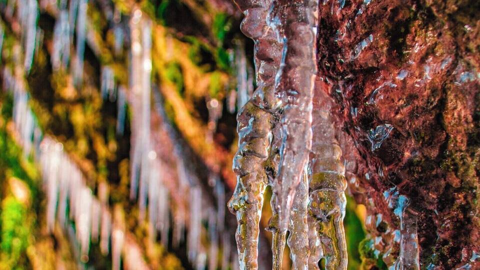 Icicles hanging from a rocky surface.