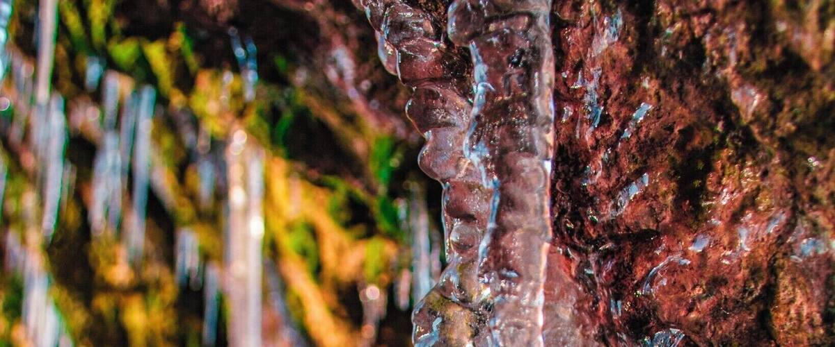 Icicles hanging from a rocky surface.