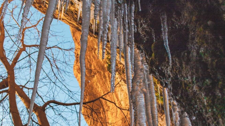 Icicles hanging from a cliff.