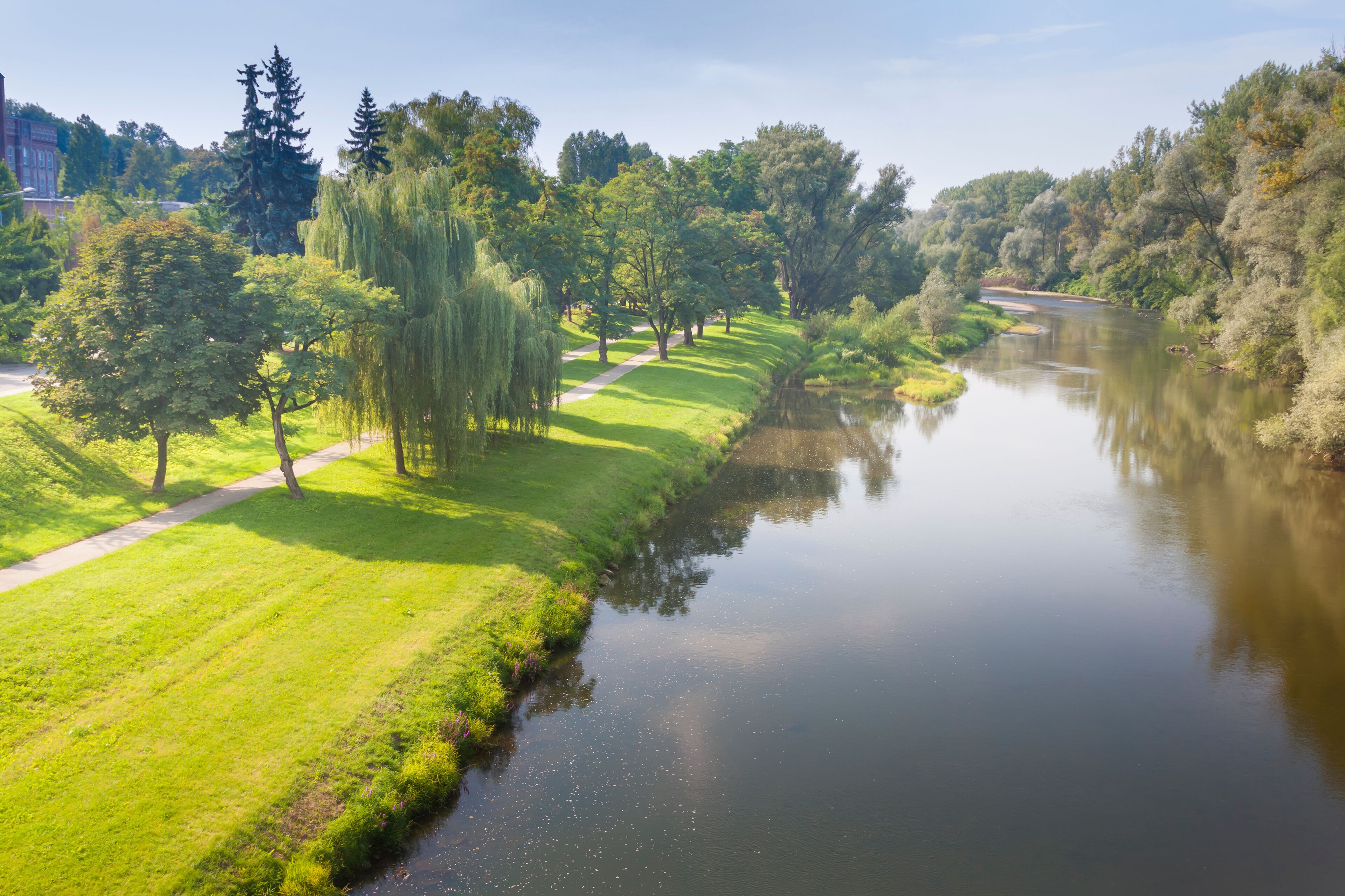 Un río tranquilo con orilla cubierta de hierba, árboles y cielo despejado.