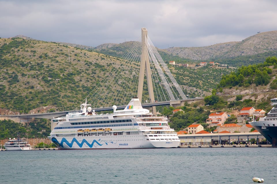 A cruise ship docked at a port with a cable-stayed bridge in the background.