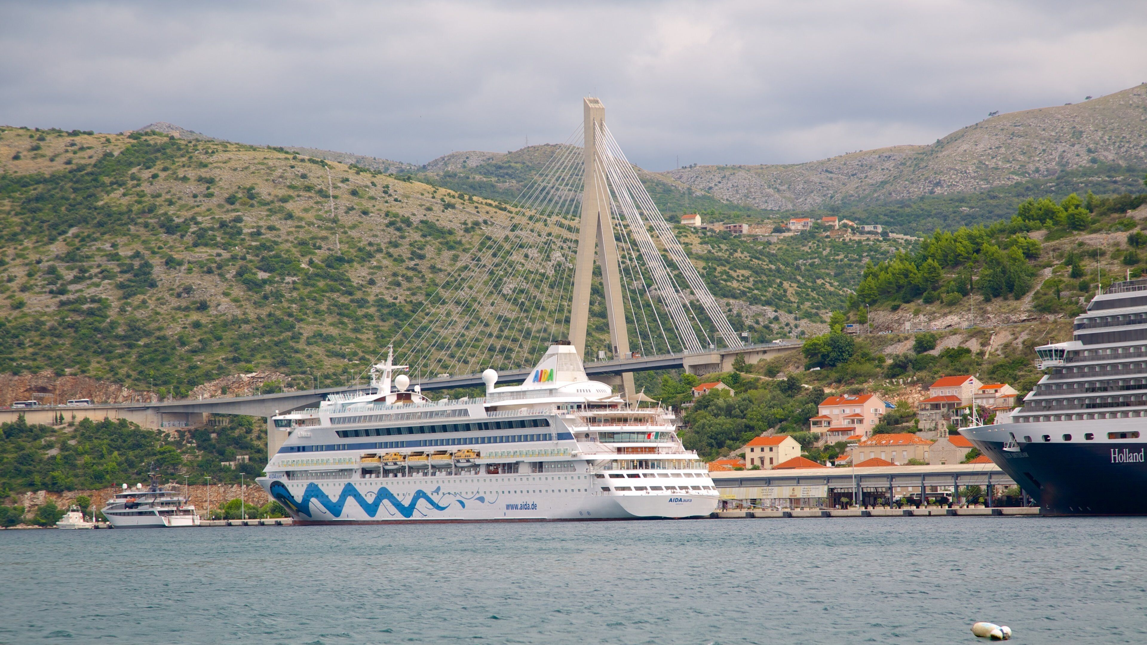 A cruise ship docked at a port with a cable-stayed bridge in the background.