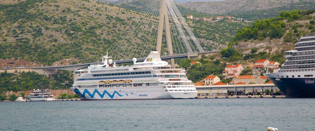 A cruise ship docked at a port with a cable-stayed bridge in the background.