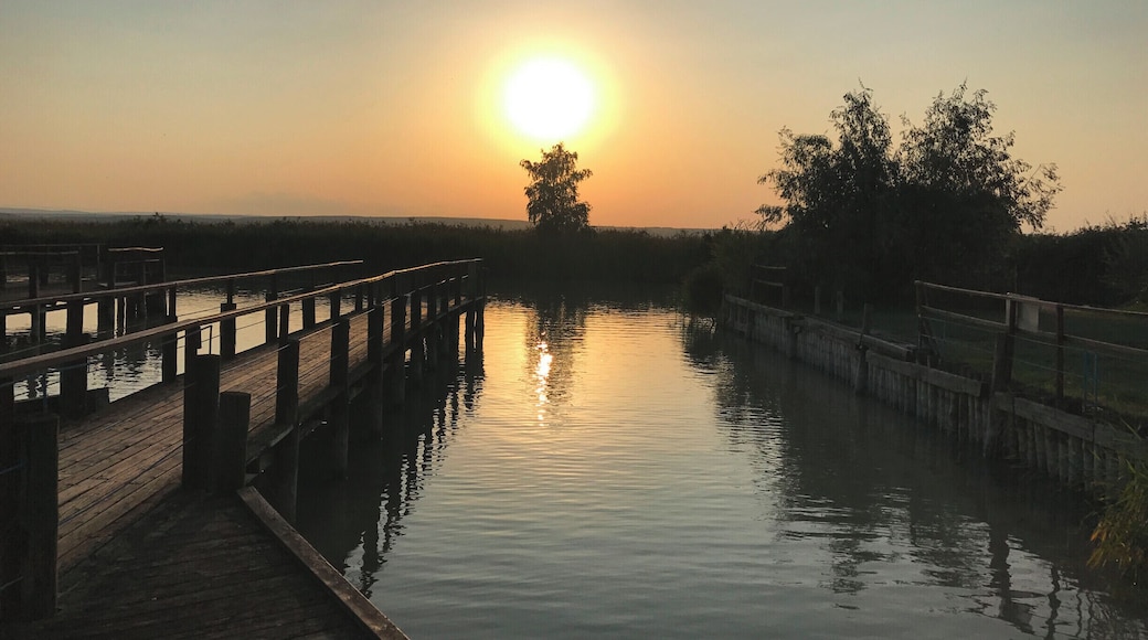 Sunset at Lake Neusiedel