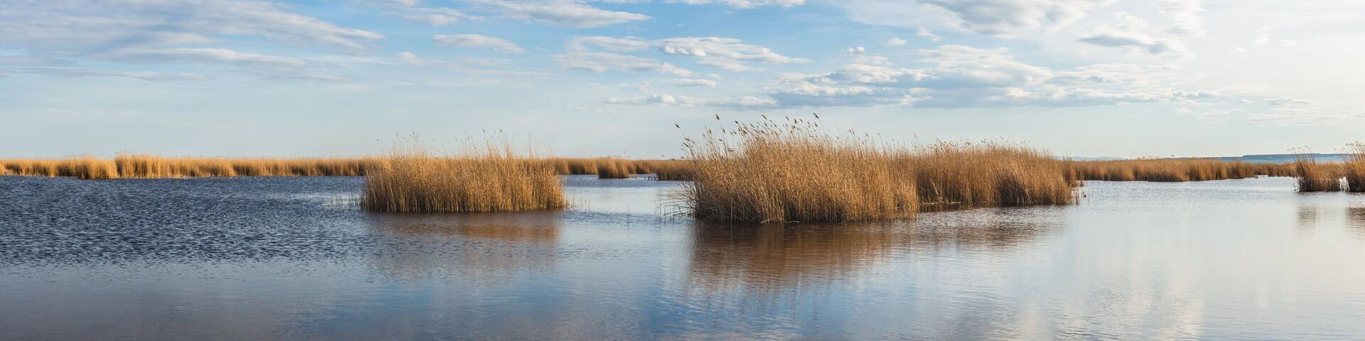 Seewinkel im Nationalpark Neusiedler See (A)