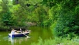 Un petit bateau à rames bleu, avec des personnes qui rament sur une rivière paisible, entourée d’une végétation verdoyante et luxuriante.