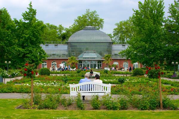 Palmengarten das einen Garten
