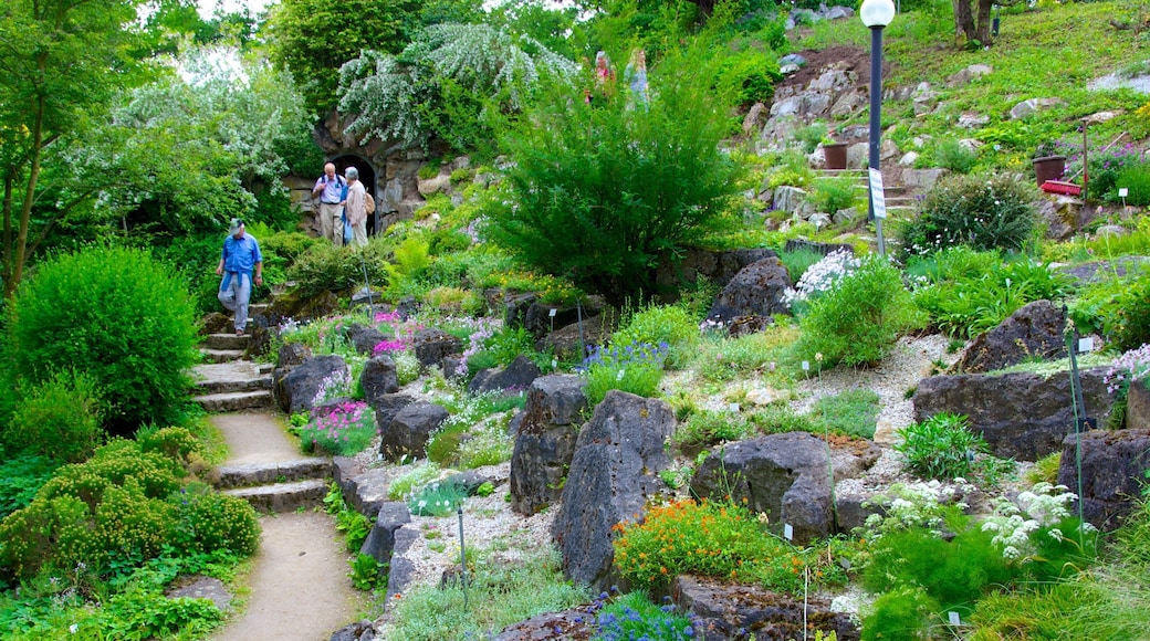 Palmengarten mostrando flores e um jardim