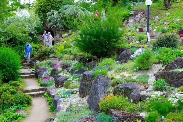 Palmengarten montrant parc et fleurs