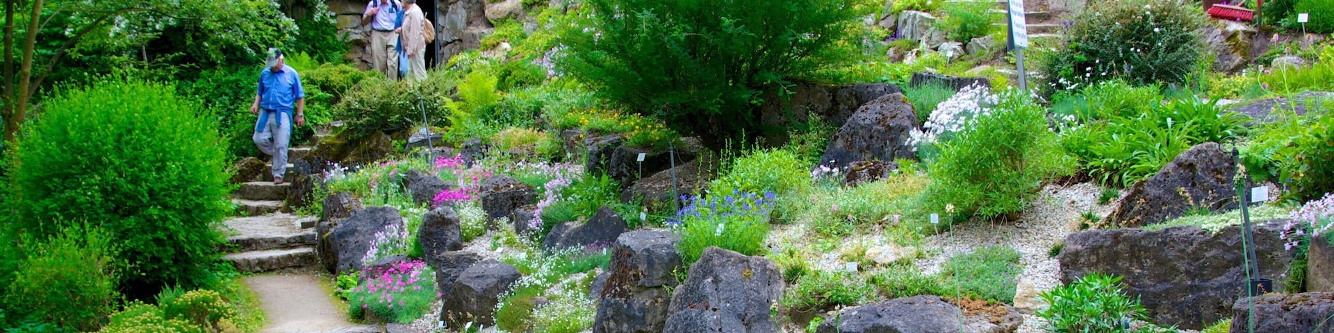 Palmengarten mostrando flores e um jardim