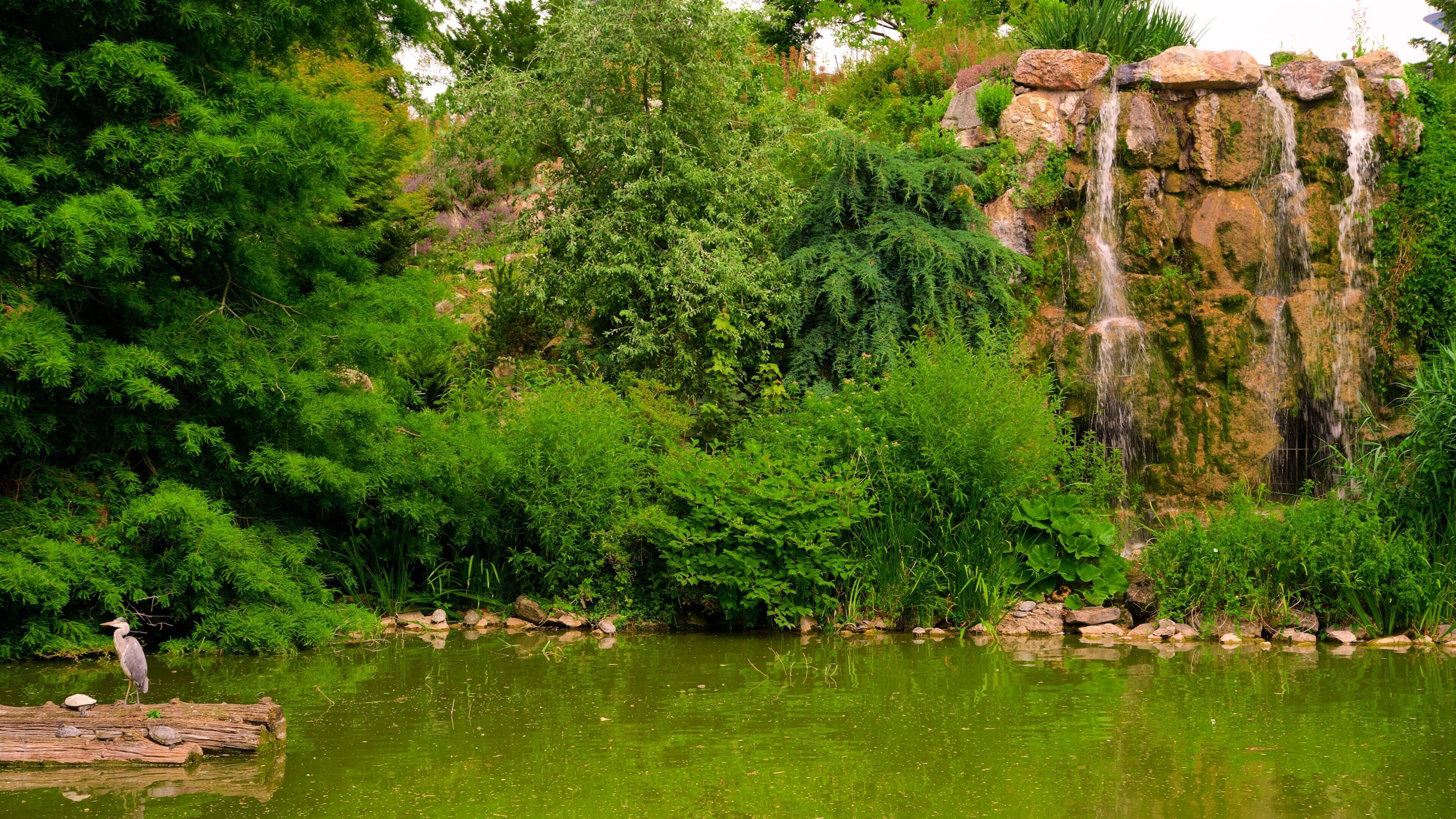 Palmengarten showing a lake or waterhole and a waterfall
