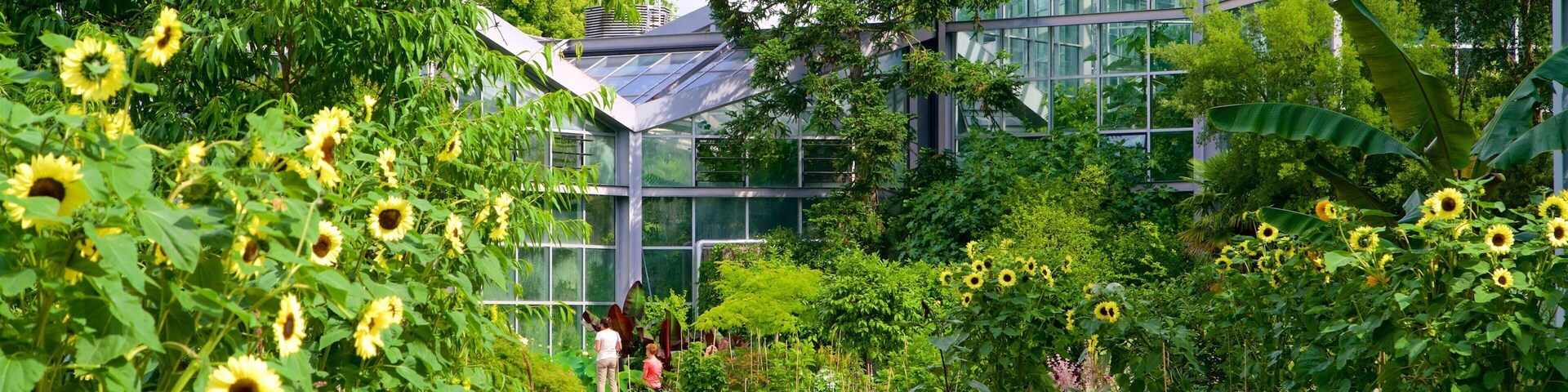 Palmengarten which includes a garden and flowers