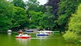 Palmengarten featuring a lake or waterhole, tropical scenes and boating