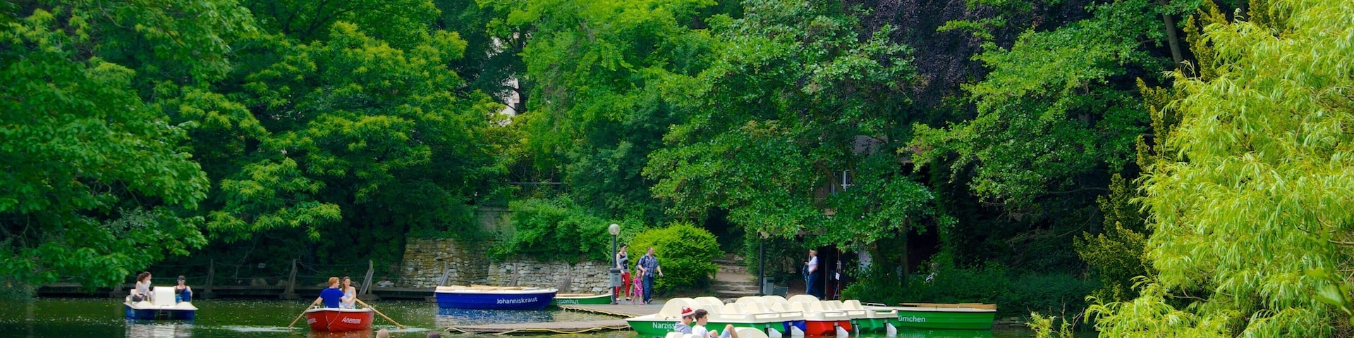 Palmengarten showing a lake or waterhole, boating and tropical scenes