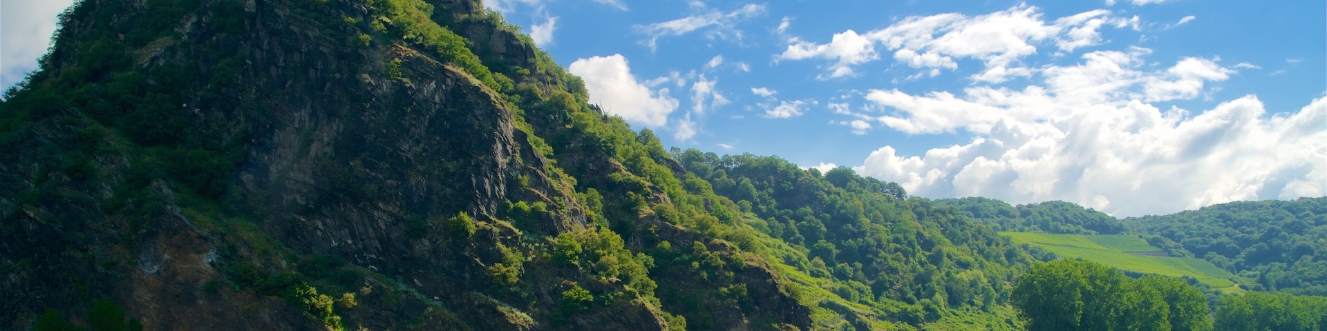 羅雷萊