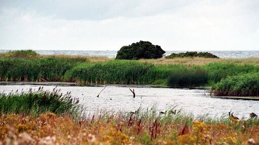 "Marzkamp" coastal lake in Schwartbuck, Kreis Plön, Schleswig-Holstein, Germany