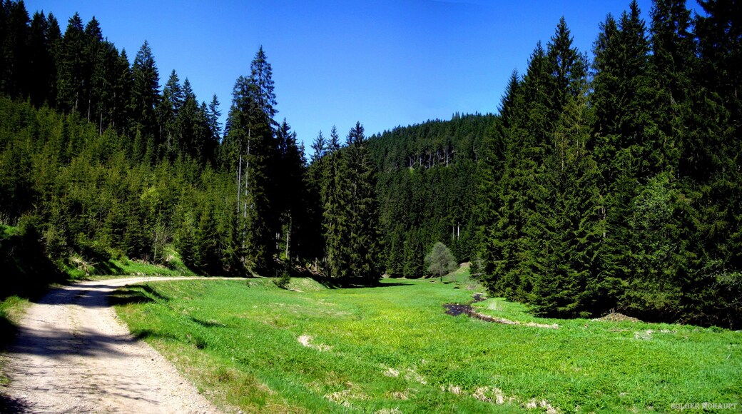 Göritzgrund im Frühling