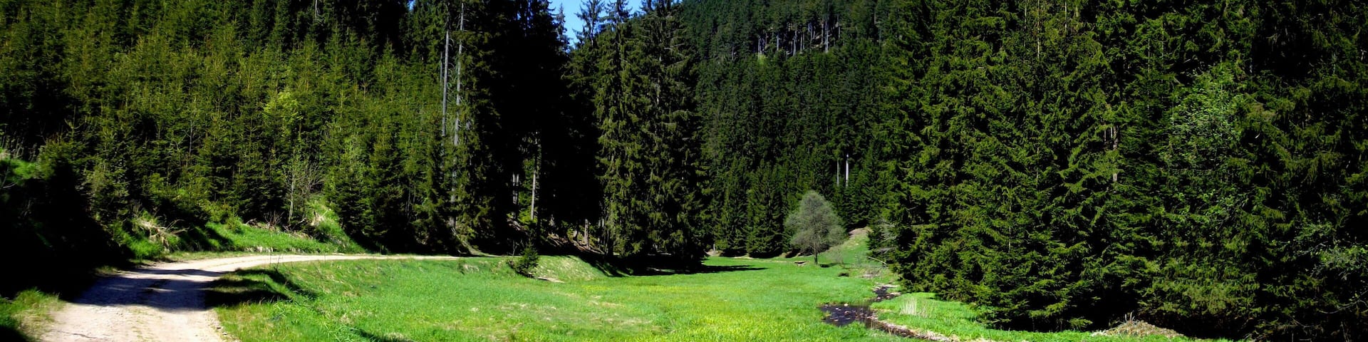 Göritzgrund im FrĂŒhling