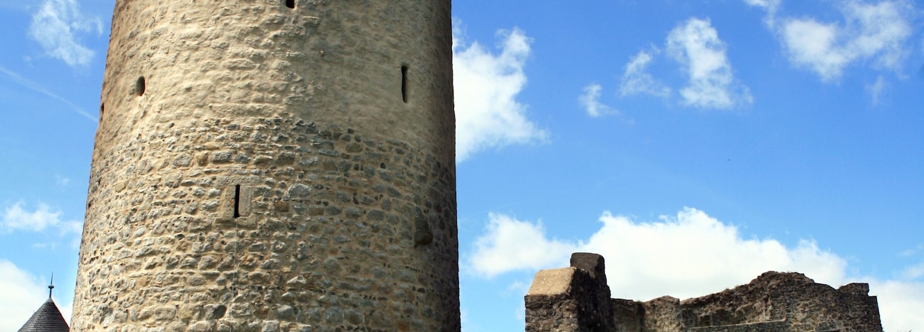 A historic stone tower with a flag, surrounded by ruins and greenery under a clear sky.