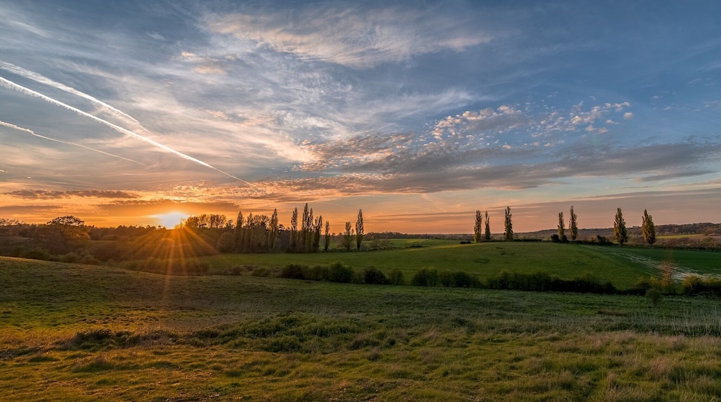 Halstead Circular Walk
The countryside immediately around Halstead is green and rolling with the valleys of the rivers (particularly the Colne and Stour) opening out as they head towards the sea, and then they reach the sea in a series of creeks and sunken valleys.
There are lots of pretty villages around - see Thaxted, Finchingfield, Castle Hedingham and Coggeshall for examples. The Castle at Castle Hedingham is definitely worth a visit - one of the most impressive and intact Norman keeps around.
Close by is Colchester that has a wealth of history as (arguably) Britain's oldest town, with origins well before the Roman era. There are Roman remains and the museum in Colchester Castle (another massive Norman keep) is excellent.
#essex #suffolk #sunset #countryside #rural #eastanglia #england #britain #uk
