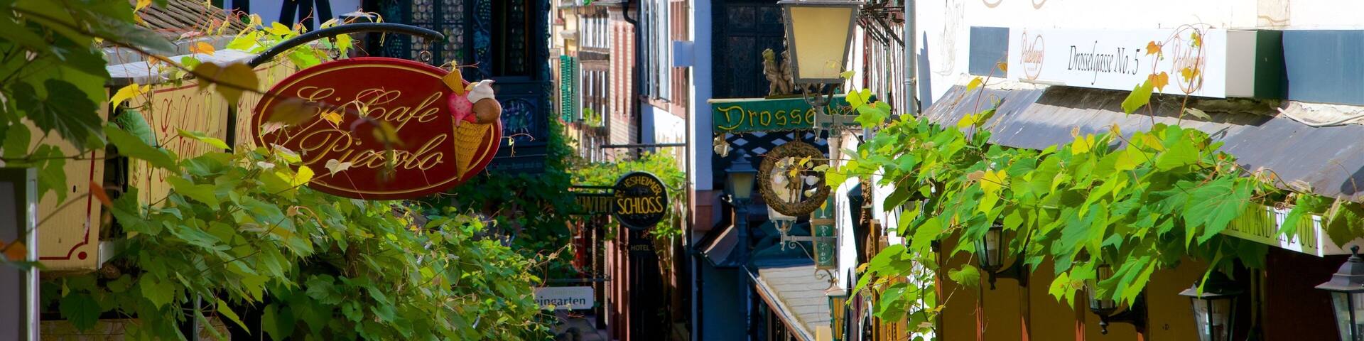 A narrow street with buildings, a sign for 'Drossauss No. 5', and a 'Cafe Piasolo' sign.
