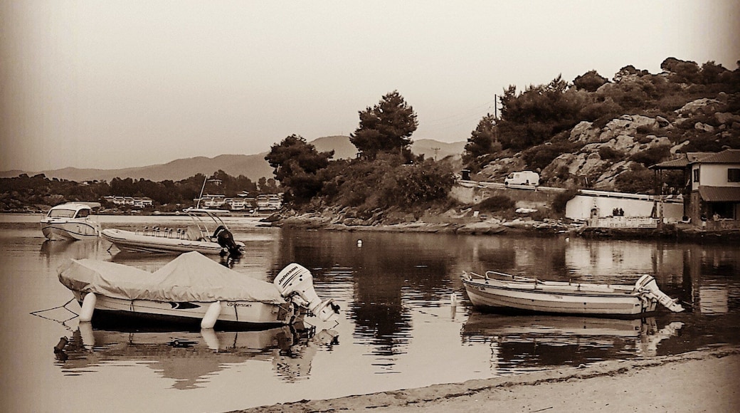 𝕊𝕦𝕞𝕞𝕖𝕣 𝕝𝕠𝕒𝕕𝕚𝕟𝕘